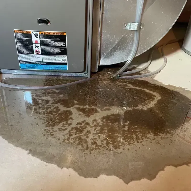 Appliance Leak Cleanup in Linneus, MO